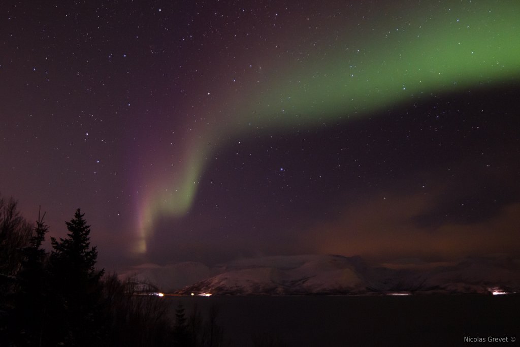 Aurora borealis over Reinøya island