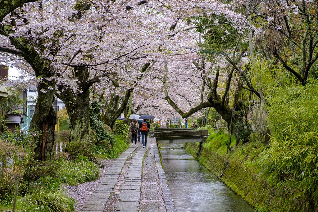 2019-japan-086.jpg